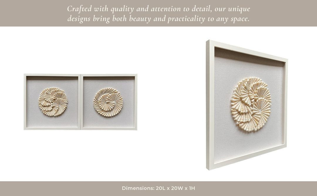 S/2 20x20 Atlantic Shell Shadowbox Art