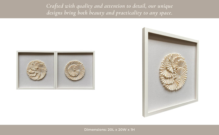 S/2 20x20 Atlantic Shell Shadowbox Art
