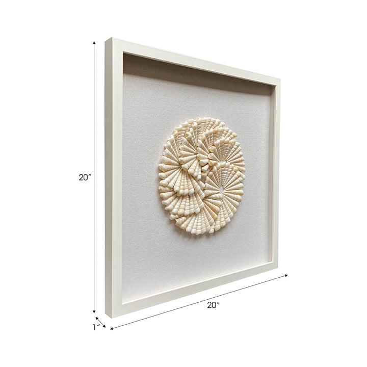 S/2 20x20 Atlantic Shell Shadowbox Art