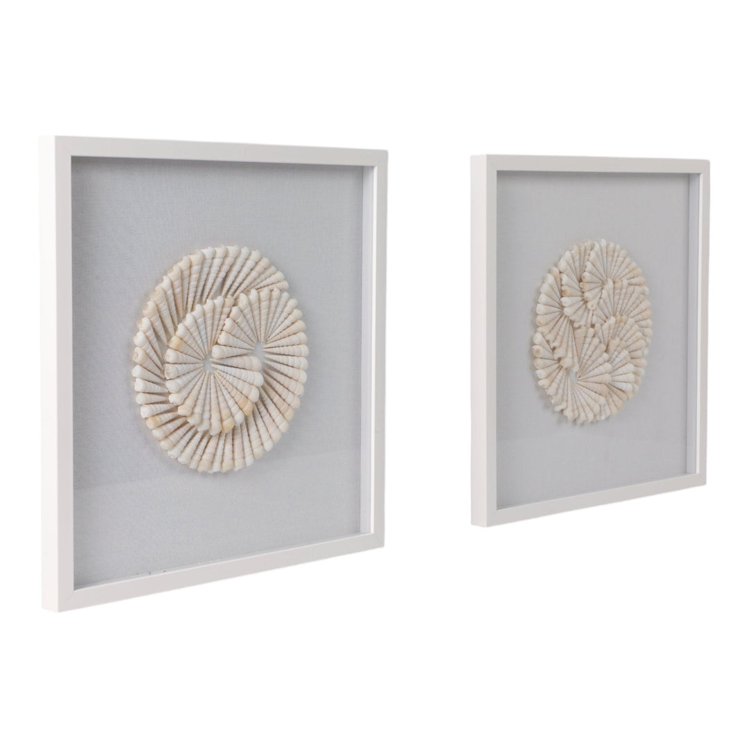 S/2 20x20 Atlantic Shell Shadowbox Art