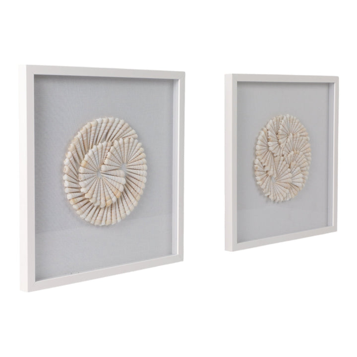 S/2 20x20 Atlantic Shell Shadowbox Art