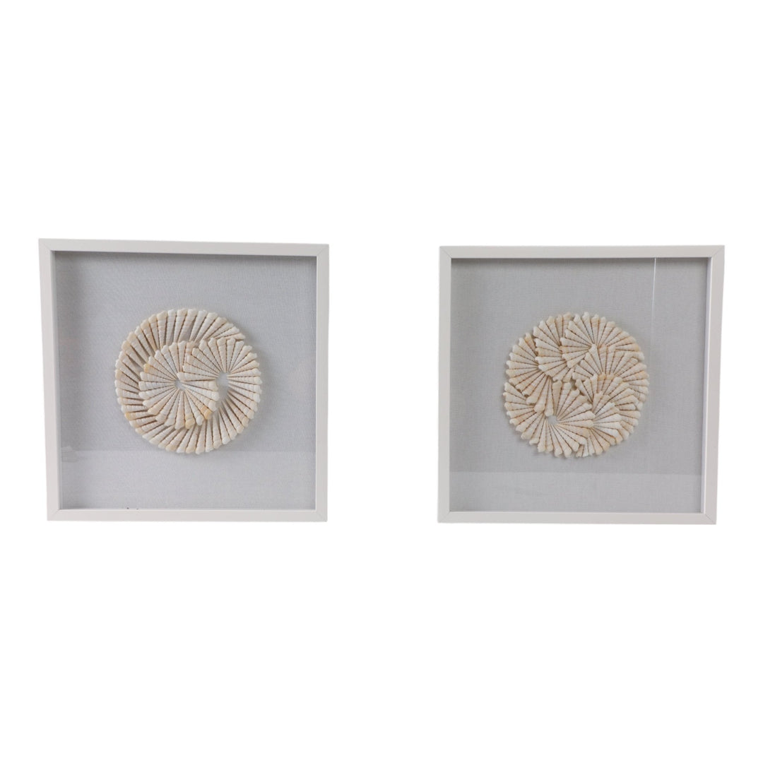 S/2 20x20 Atlantic Shell Shadowbox Art