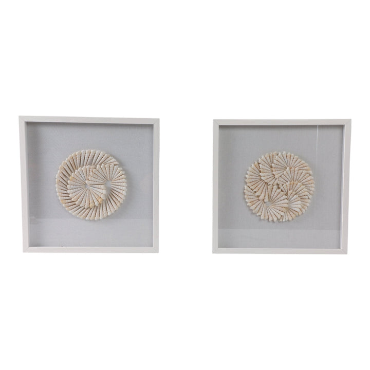 S/2 20x20 Atlantic Shell Shadowbox Art
