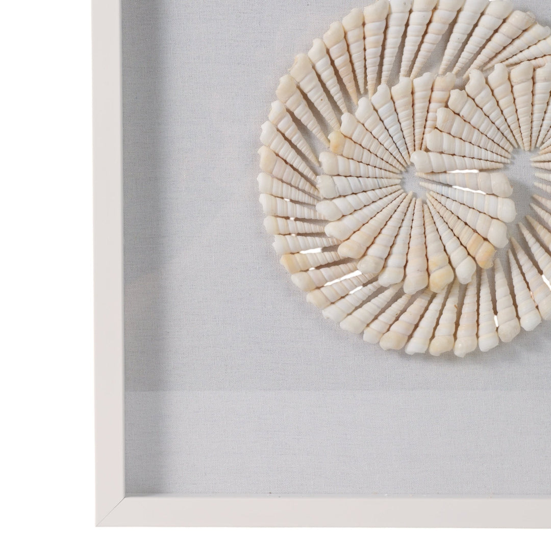 S/2 20x20 Atlantic Shell Shadowbox Art