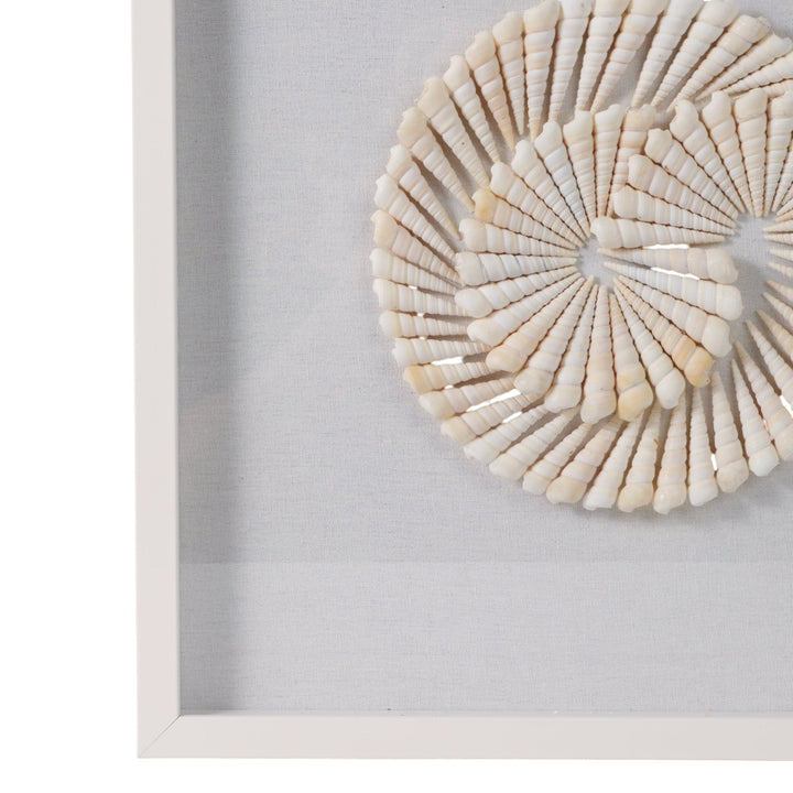 S/2 20x20 Atlantic Shell Shadowbox Art
