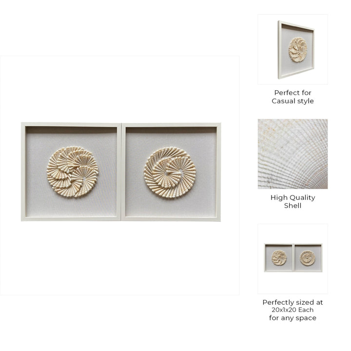 S/2 20x20 Atlantic Shell Shadowbox Art