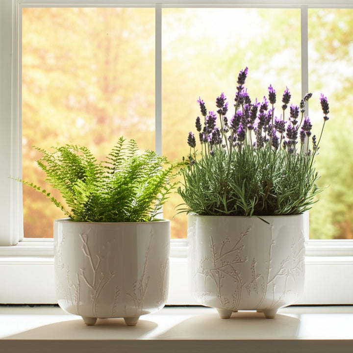 S/2 9/11" BLOOMING BRANCHES PLANTERS, IVORY
