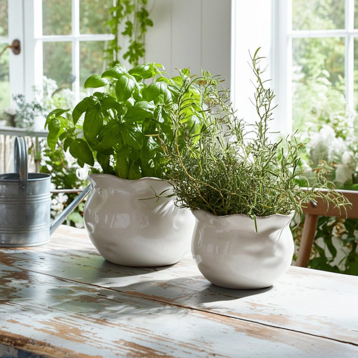 S/2 9/12" ROUND WAVY EDGE PLANTERS, WHITE