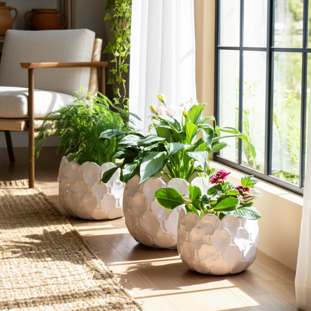 S/3 9/12/15" CLOUDY PETAL PLANTERS, WHITE