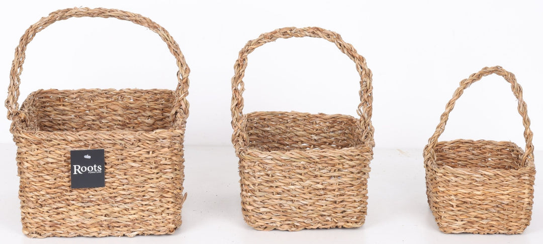 S.G BERRY BASKET SET OF 3