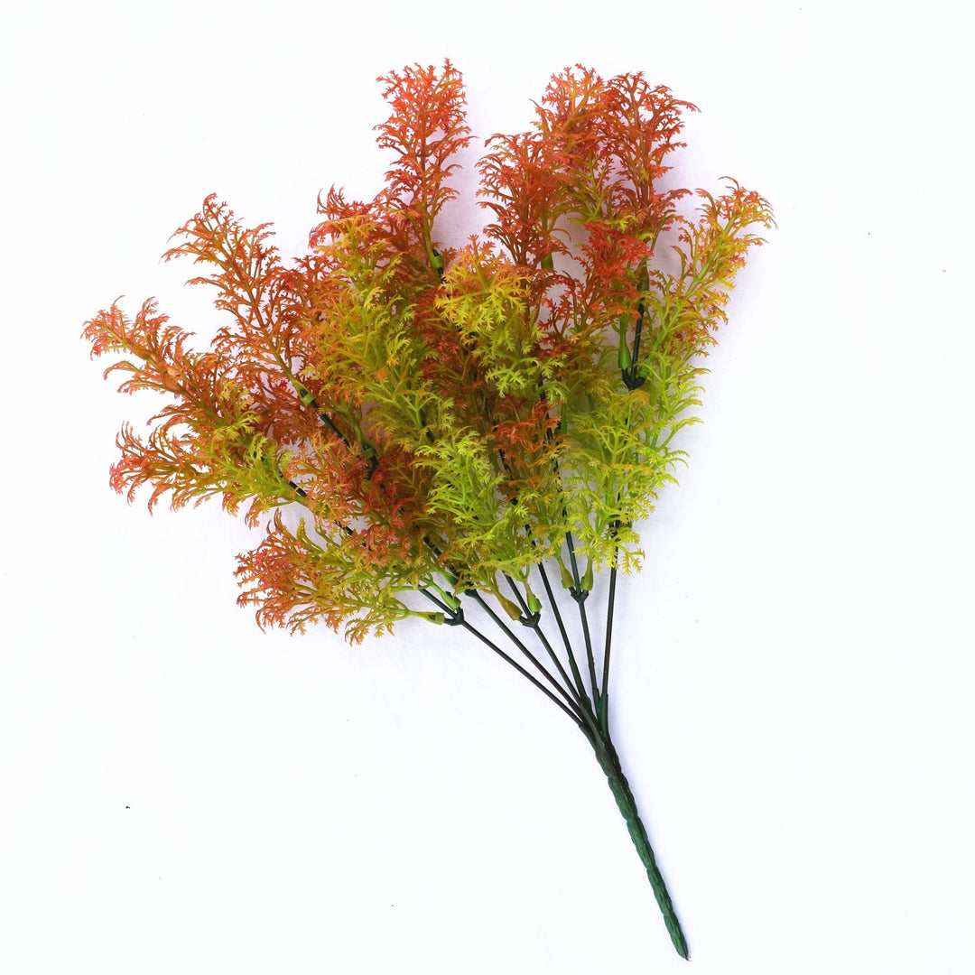 Small Moss Fern   (Brown)
