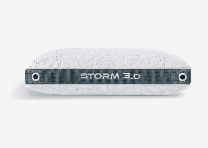 Storm 2022 Pillow