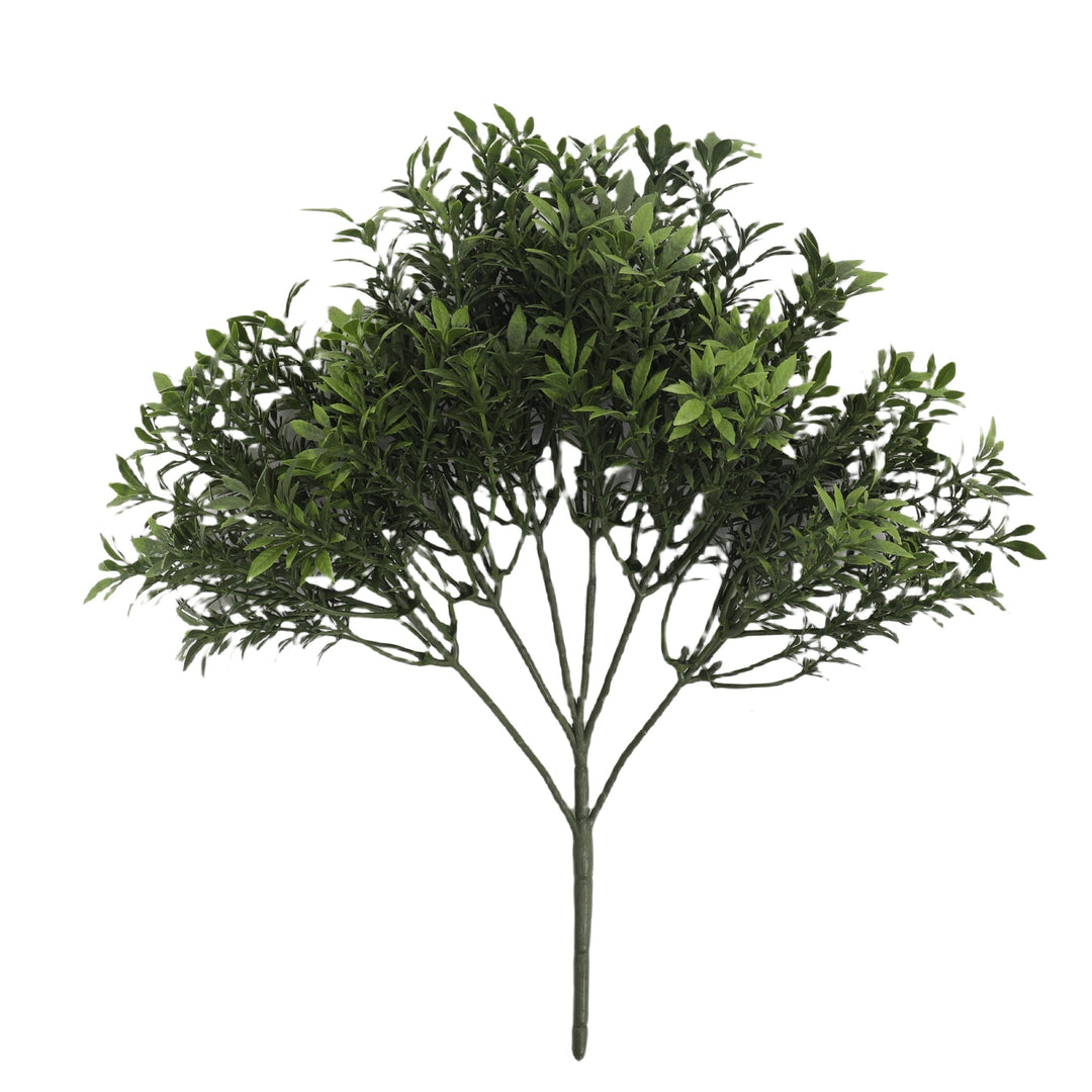 Tea Foliage Bush