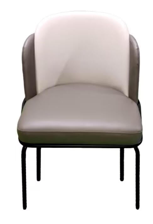 Matte Gray Dining Chair