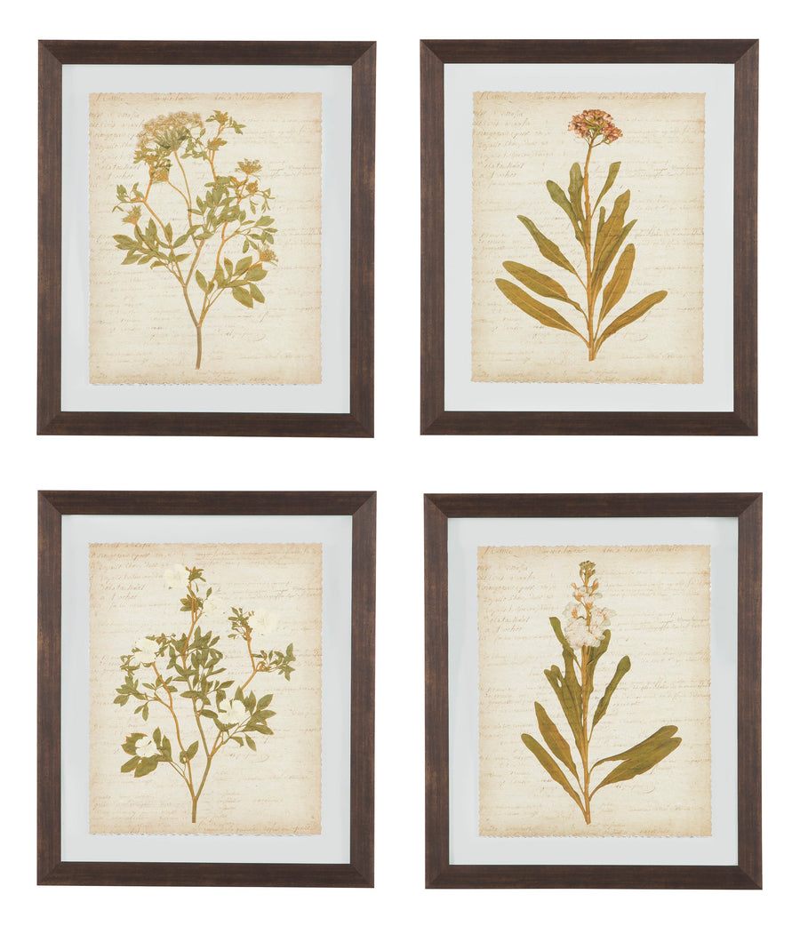 WALL ART SET (Set of 4) (6621676634208)